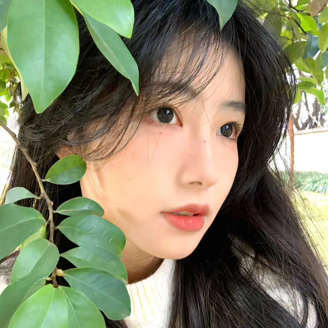 老人院的帕妃女士
